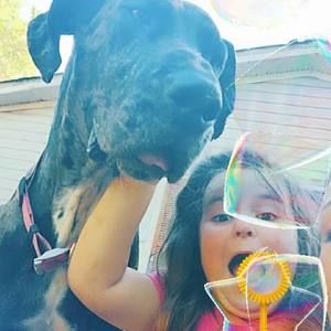 Meet your Posher, Dallas